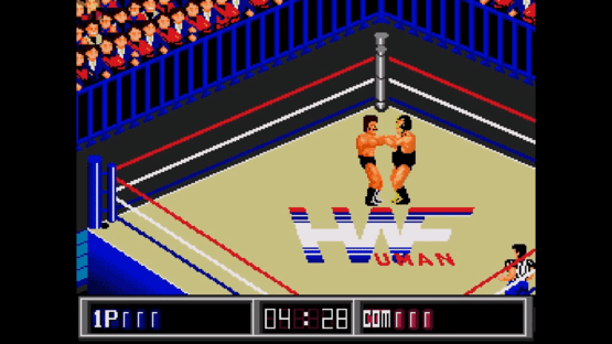 Thunder Pro Wrestling Retsuden Screenshot