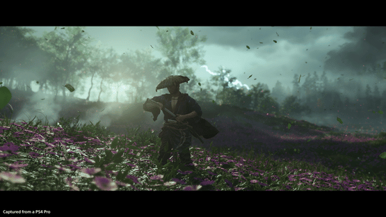 Ghost of Tsushima: Collector's Edition Screenshot