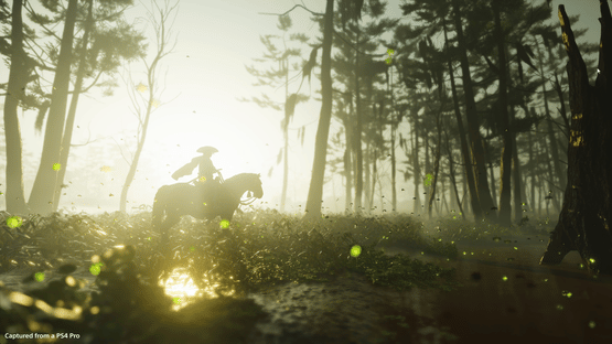 Ghost of Tsushima: Collector's Edition Screenshot