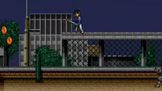 3 Ninjas Kick Back Screenshot