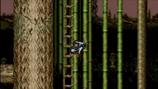 3 Ninjas Kick Back Screenshot