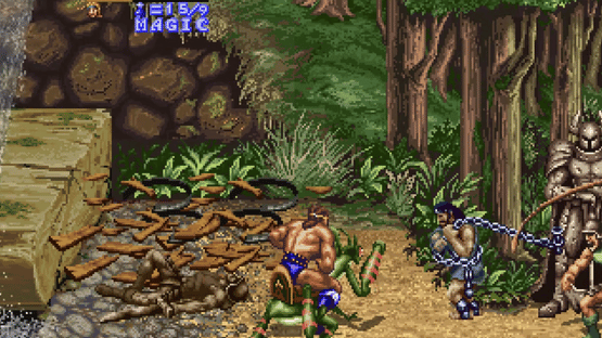 Golden Axe: The Revenge Of Death Adder Screenshot