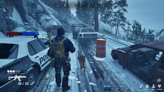Thumbnail 13