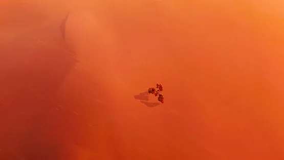Venox: The Alien Survivors screenshot 4