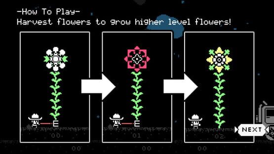 Tuttle: Star Flower Harvest screenshot 4