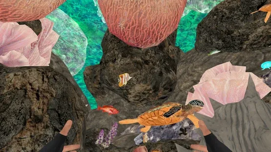Thumbnail 11