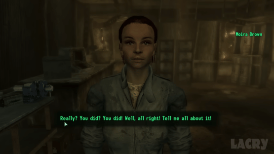 Fallout 3: Collector's Edition Screenshot