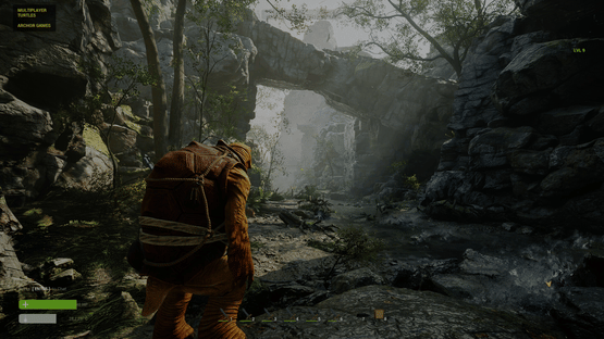 Multiplayer Turtles Screenshot