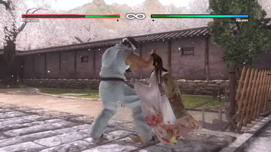 Dead or Alive 5: Collector's Edition Screenshot