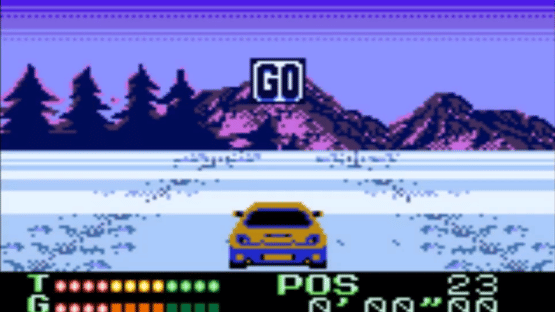 International Rally Screenshot