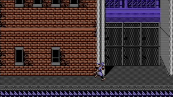 Shadow Warriors Screenshot