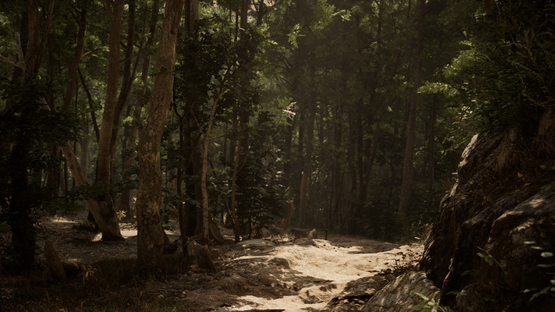 The Wired Narrative Bundle Screenshot