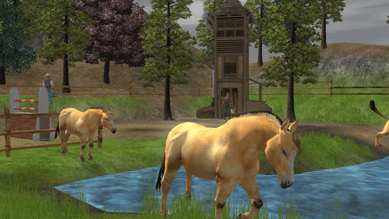 Wildlife Park 2: Horses Screenshot