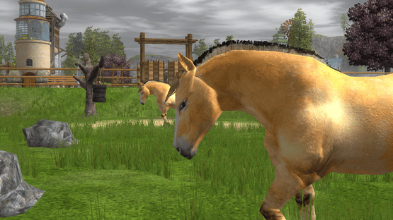 Wildlife Park 2: Horses Screenshot