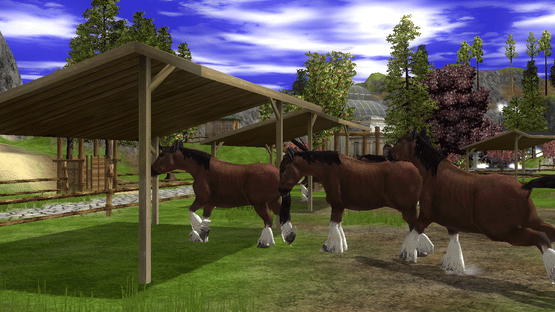 Wildlife Park 2: Horses Screenshot