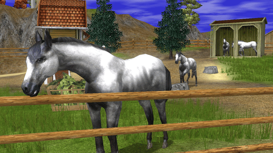 Wildlife Park 2: Horses Screenshot