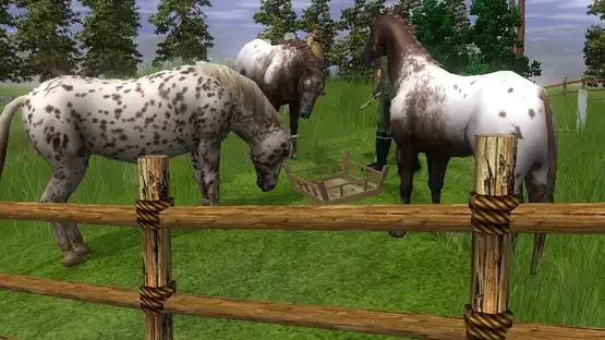 Screenshot 15