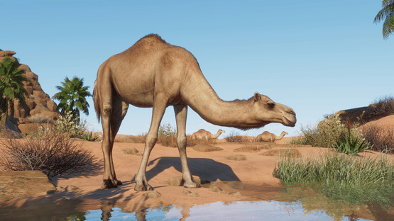 Planet Zoo: Arid Animal Pack Screenshot