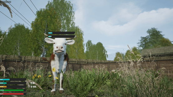 Russian Village Simulator Screenshot