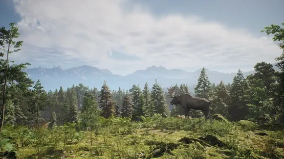 Project Hunt screenshot 5