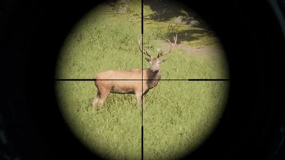Project Hunt screenshot 6