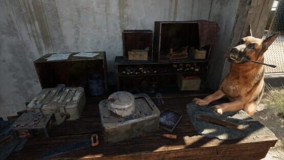 screenshot 10