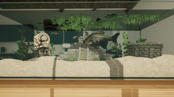 Aquarium Designer: Amazonia Screenshot