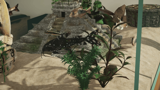 Aquarium Designer: Amazonia Screenshot
