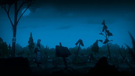 Thumbnail 13