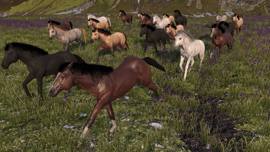 Horse Life: Find Horses in Open World, Survive in Wild Nature as a Foal or Pony Screenshot