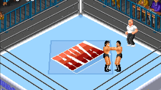 Super Fire Pro Wrestling 2 Screenshot