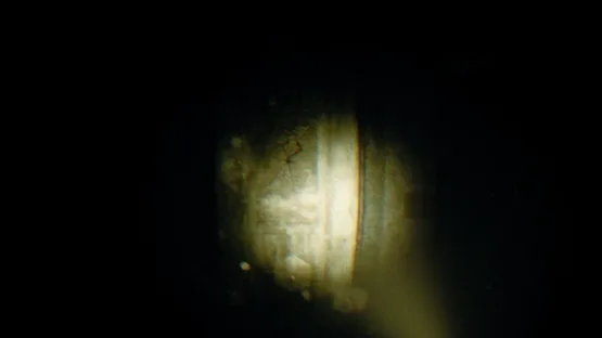 Rec: Beyond The Lens screenshot 3