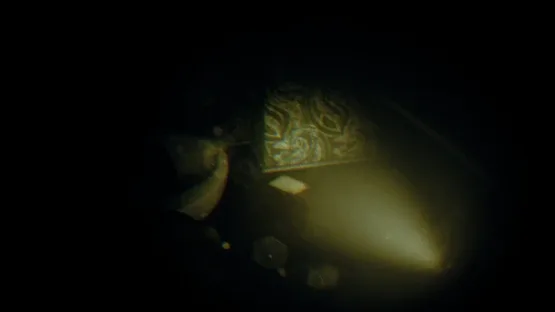 Rec: Beyond The Lens screenshot 7