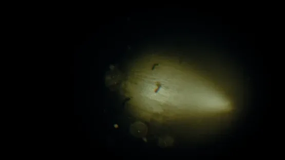 Rec: Beyond The Lens screenshot 8