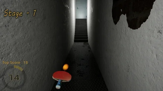 Pinging screenshot 1
