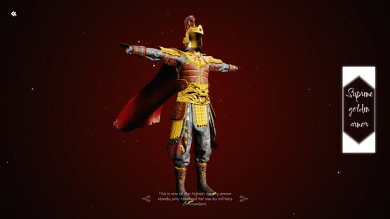 Tay Son Dynasty screenshot 5