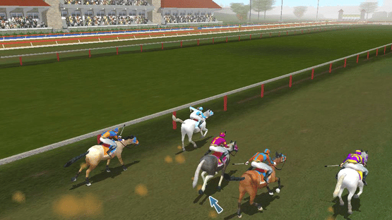 Championship Horse Trainer Screenshot