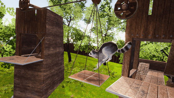 Raccoon Adventure Screenshot