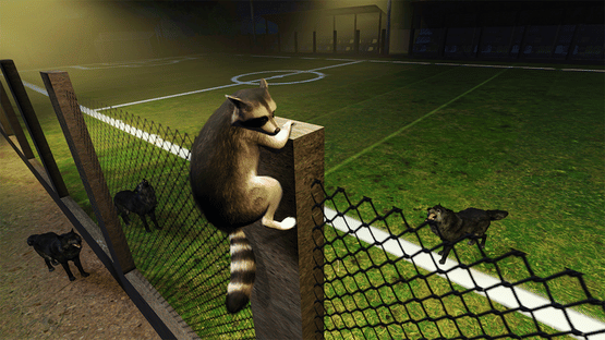 Raccoon Adventure Screenshot