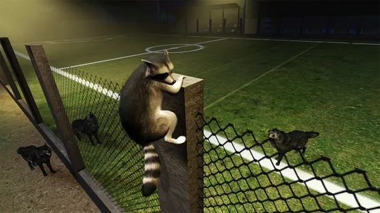 Raccoon Adventure screenshot 5