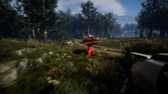 Forest Frenzy Screenshot