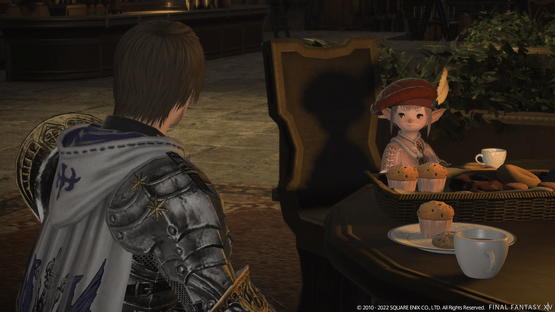 Final Fantasy XIV: Newfound Adventure Screenshot