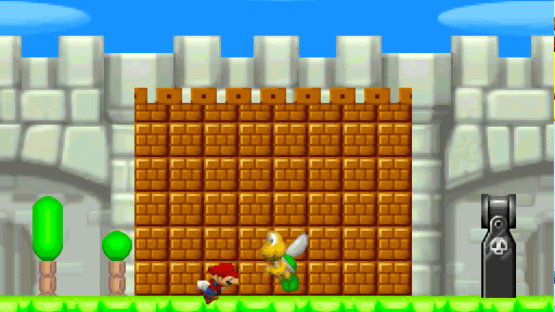 New Super Mario Bros. F Screenshot