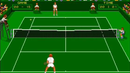 Pro Tennis Tour Screenshot