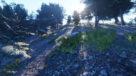 screenshot 24