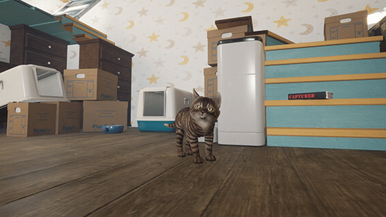 Kitten Tales Screenshot