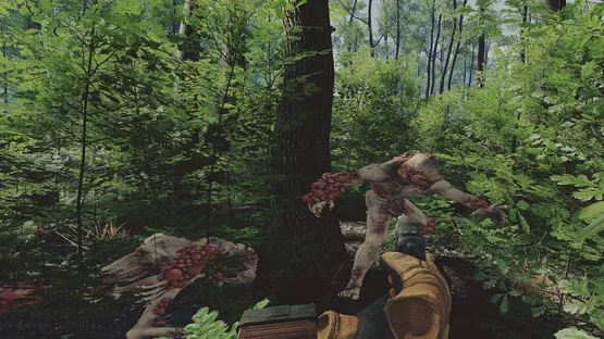 Z.O.N.A: Origin screenshot 3