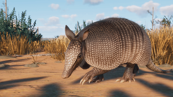 Planet Zoo: Grasslands Animal Pack Screenshot
