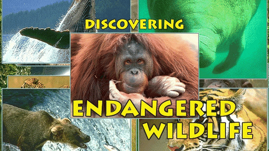 Discovering Endangered Wildlife Screenshot