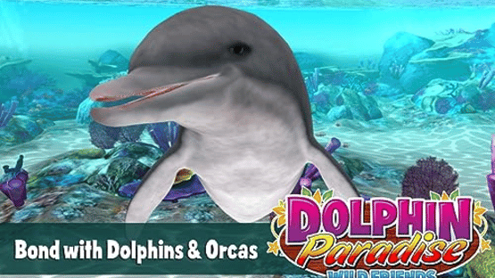 Dolphin Paradise: Wild Friends Screenshot